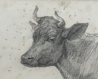 Lot 1012 - *Lucy Kemp-Welch (1869-1958) pencil drawing - A Cow, 'Bored Indifference', dated Aug. '94, 10cm x 11cm, in glazed gilt frame. NB: From an 1894 album of drawings and oils which was a gift...
