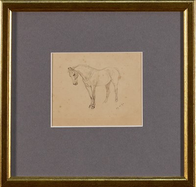 Lot 1011 - *Lucy Kemp-Welch (1869-1958) pencil and ink drawing - A Horse, 8.5cm x 10cm, in glazed gilt frame. NB: From an 1894 album of drawings and oils which was a gift from Lucy and her sister Ed...