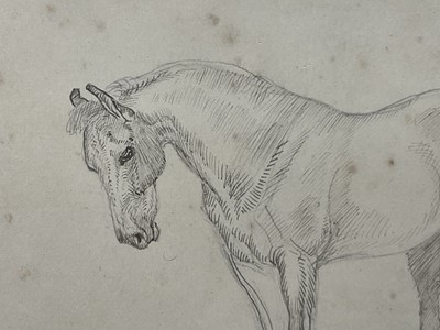 Lot 1011 - *Lucy Kemp-Welch (1869-1958) pencil and ink drawing - A Horse, 8.5cm x 10cm, in glazed gilt frame. NB: From an 1894 album of drawings and oils which was a gift from Lucy and her sister Ed...