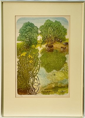 Lot 299 - Glynn Thomas (b. 1946) signed limited edition etching, Yellow Iris, 170/200, 37cm x 25cm, glazed frame