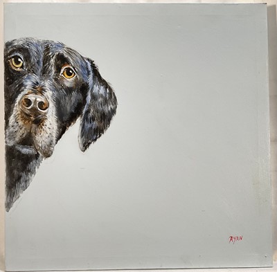 Lot 203 - John Ryan, acrylic, Dog expecting 'Walkies', signed, 40cm x 40cm, unframed