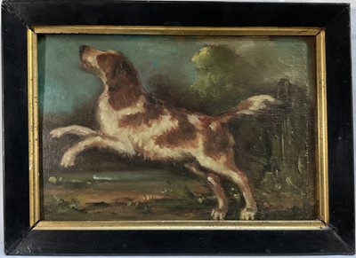 Lot 276 - English School, oil on panel, A Spaniel, 15cm x 23cm, framed