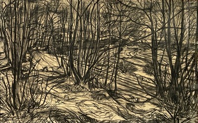 Lot 298 - Wivenhoe Woods, charcoal on paper, 44cm x 70cm, glazed frame