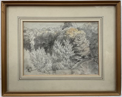 Lot 183 - Samuel Howett (1765-1822) watercolour - Woodland Path,15 x 20.5cm in glazed frame.