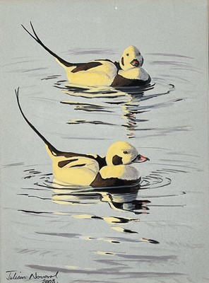 Lot 1131 - *Julian Novorol (b.1949) watercolour of ducks, signed and dated 2003, 30cm x 22cm, glazed frame