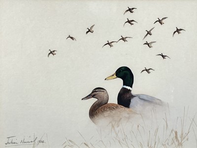 Lot 1132 - *Julian Novorol (b.1949) watercolour of mallards, signed and dated 1994, 26cm x 34cm, glazed frame