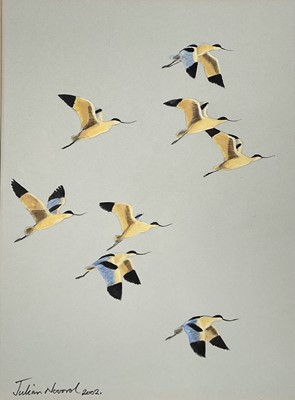 Lot 1130 - *Julian Novorol (b. 1949) watercolour, Avocets in flight, signed and dated 2002, 30cm x 22cm, glazed frame