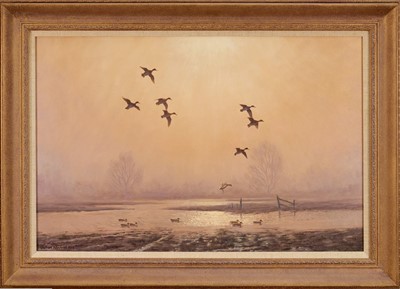 Lot 1129 - *Julian Novorol (b. 1949) oil on canvas, Wild fowl in flight, signed and dated 1993, 40cm x 60cm, framed