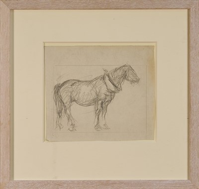 Lot 1059 - Harry Becker (1865-1928) graphite, Study of Standing Horse in Collar, 18cm x 21cm, in glazed frame