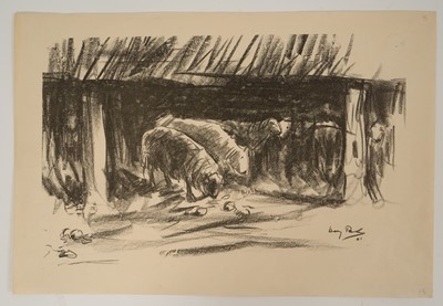 Lot 1002 - Harry Becker (1865-1928) lithograph, Sheep in a Barn signed and dated to the stone '01, 31 x 47cm