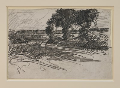 Lot 1078 - Harry Becker (1865-1928) graphite, Trees in a Landscape, 21 x 29cm, mounted but unframed