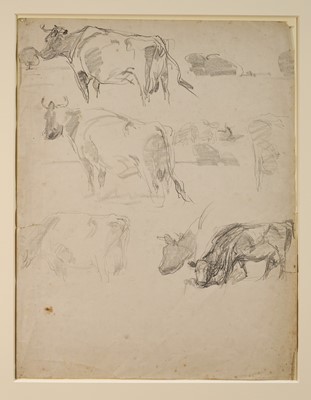 Lot 1037 - Harry Becker (1865-1928) graphite, Sketches of Friesian Cattle, c. 1911, 53 x 41cm, mounted but unframed