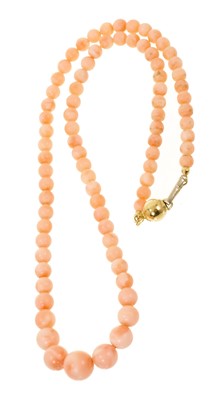 Lot 442 - Coral bead necklace on 18ct gold clasp