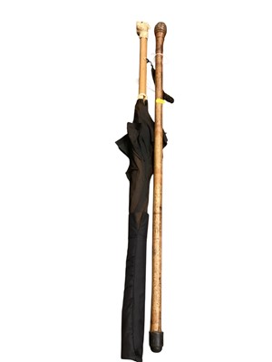 Lot 3143 - Early 20th century malacca parasol with celluloid dog's head with glass eyes and bone struts, together with another cane (2)