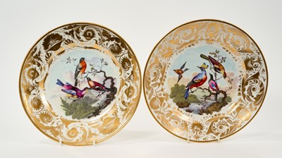 Lot 165 - Pair of Derby plates, painted with birds by Richard Dodson, circa 1815