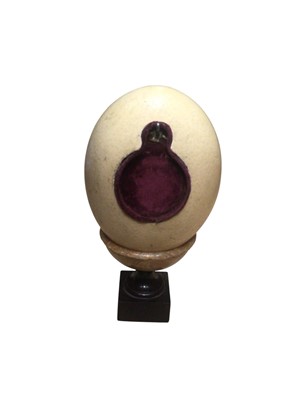 Lot 2920 - 19th century Blue John pedestal urn on slate socle fitted with ostrich egg with inset pocket watch stand, 21cm high overall. The urn 8.7cm high
