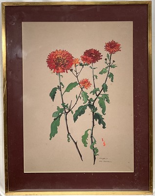 Lot 204 - S. A. Knight, three botanical studies and a landscape, Fennel and Chrysanthemum, signed and dated '69, and Cliffs, ‘72