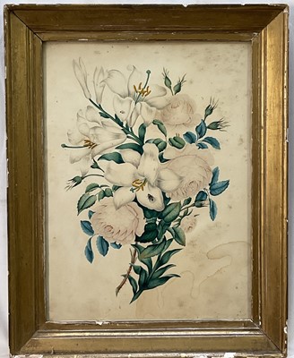 Lot 102 - 19th century large watercolour Botanical study of a rose amd insects, 41cm x 30cm, glazed gilt frame