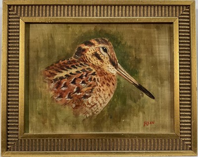 Lot 132 - John Ryan, oil on board, A snipe, signed, 14cm x 19cm, gilt frame