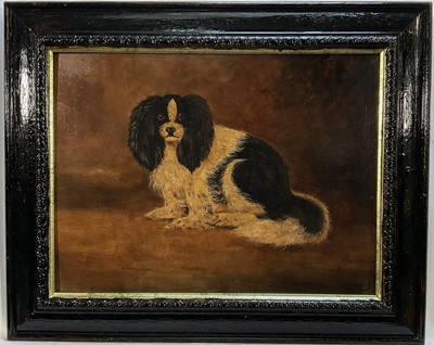 Lot 260 - English School, oil on board, A Black and White Spaniel, 29cm x 39cm, framed
