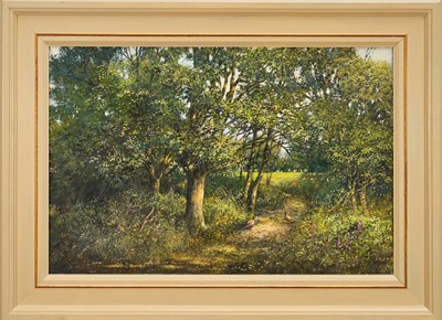 Lot 1111 - *Clive Madgwick (1939-2005) acrylic on canvas - 'Through the Meadow', signed, 41.5cm x 61.5cm, in painted frame