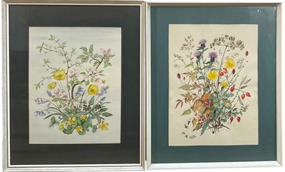 Lot 10 - Patience Arnold (1901-1992) Pair of watercolour studies of flowers, Spring and Autumn, signed, 44 x 34cm and 46.5 x 36.5cm, in glazed frames.