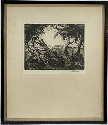 Lot 159 - Lavender, etching of Trees, indisctinctly signed, 19 x 23.5cm, in glazed frame.
