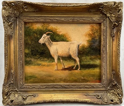 Lot 101 - English School, oil on board, Billy Goat in a Field, framed, 19cm 23.5cm.