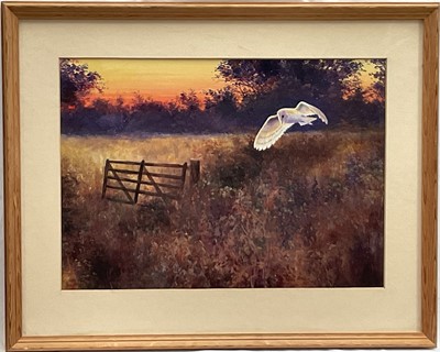 Lot 269 - English School, acrylic on board, A Barn Owl Hunting at dusk, 28cm x 39cm, glazed frame