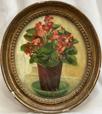 Lot 300 - English School circa 1920 oil on card laid on panel, Still life with pot plant, 30cm x 25cm in oval gilt frame