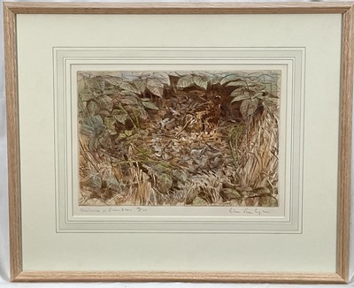 Lot 1157 - Peter Partington (1941-2025) signed limited edition coloured etching - Woodcock in Brambles, 133/150, 23cm x 32cm, in glazed frame