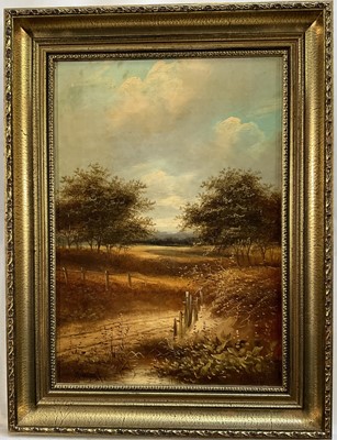 Lot 230 - H. Taylor, late Victorian oil on canvas - Rural Landscape, signed, 34cm x 24cm, in gilt frame