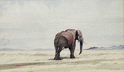 Lot 299 - Allan Carter (1909-?) watercolour - Lone Elephant Tsavo, signed, 26cm x 45cm, in glazed frame