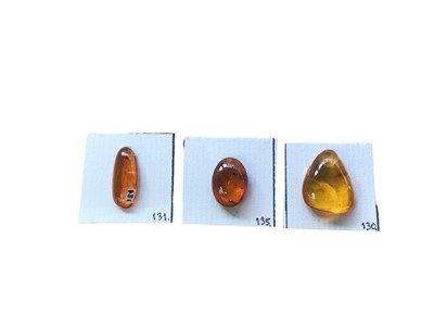 Lot 2996 - Three amber pieces set with bugs