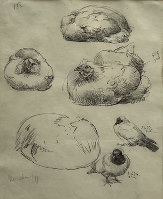 Lot 1236 - Alfred William Strutt (1856-1924), studies of chickens and pigeons, graphite on paper, dated ‘79, 30.5cm x 25.5cm, in glazed frame