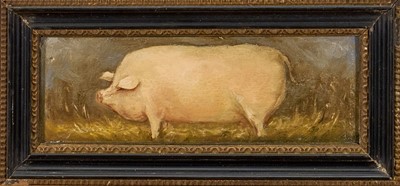 Lot 1344 - East Anglian School, oil on panel - A Prize Pig, 9cm x 24.5cm, in Hogarth frame