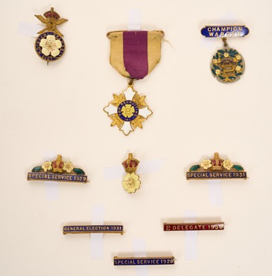 Lot 25 - Collection of nine gilt and enamel Primrose Society badges and pins
