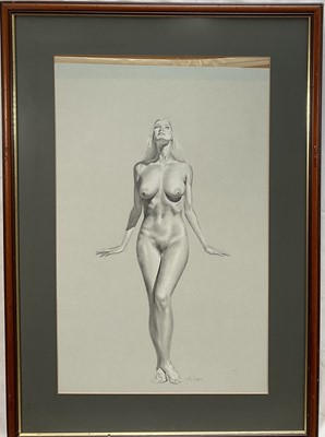 Lot 35 - McLaren, 20th Century, Standing nude studies, front and back, pencil heightened with chalk on blue card, signed, 75cm x 47cm, glazed frames (2)