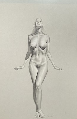 Lot 35 - McLaren, 20th Century, Standing nude studies, front and back, pencil heightened with chalk on blue card, signed, 75cm x 47cm, glazed frames (2)