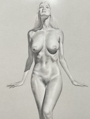 Lot 35 - McLaren, 20th Century, Standing nude studies, front and back, pencil heightened with chalk on blue card, signed, 75cm x 47cm, glazed frames (2)