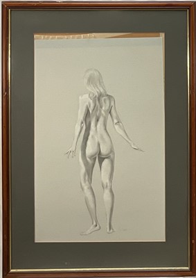 Lot 35 - McLaren, 20th Century, Standing nude studies, front and back, pencil heightened with chalk on blue card, signed, 75cm x 47cm, glazed frames (2)
