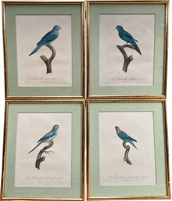 Lot 46 - Jacques Barraband (1768-1809) four engravings - La Perruche plates 62, 65, 67, 68, pub. Langlois, 33cm x 26cm, gilt frames