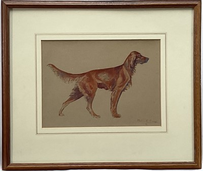 Lot 1226 - Phyllis Bone (1896-1972) watercolour, Irish Setter, signed, label verso, 21cm x 28cm, glazed frame