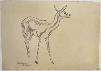 Lot 124 - Stanislaus Brien (1895-1961) pencil drawing of a deer, circa 1930's, signed, 19cm x 27cm, unframed