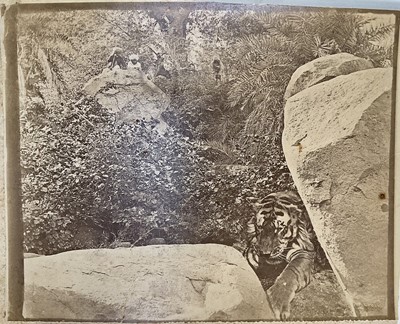 Lot 127 - Willoughby Wallace Hooper (1837-1912) original albumen print of a Tiger hunt, 20cm x 24cm