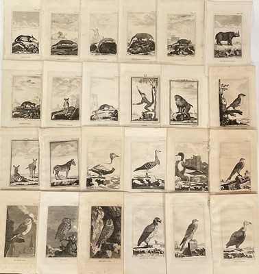 Lot 129 - De Buffon, thirty original plates from Natural History 1812, 21.5cm x 13cm, unframed