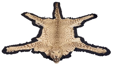 Lot 914 - Early 20th century Van Ingen Leopard skin rug with full head mount and black felt backing, stamped verso 'Van Ingen & Van Ingen, Mysore