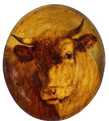 Lot 1048 - English School, manner of William Huggins, oval oil on board, Head of a Bull, 41cm x 36cm, unframed