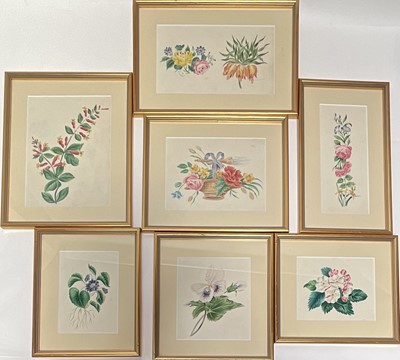 Lot 1316 - Isabella Archbold, early Victorian, collection of botanical watercolours and drawings, comprising seven framed examples and three pencil sketches in an album