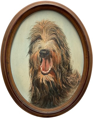 Lot 158 - Margot Smith (Guernsey), oil on board, very hairy dog, oval gilt frame, label verso. 39 x 29cm.